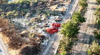 Balıkesir'de Domates Üreticileri Mallarını Satamıyor