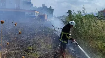 Arsuz'da çıkan yangınlar söndürüldü