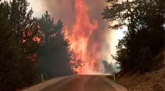 Bolu'nun Göynük ilçesinde ormanlık alanda yangın çıktı