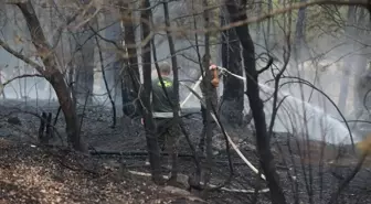 Bolu Göynük'te çıkan yangın kontrol altına alındı