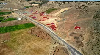 Kilis'te Acı Biber Hasadı ve Kurutma Mesaisi Başladı