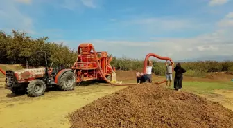 Sakarya'da çiftçiler patoz mesaisi yapıyor