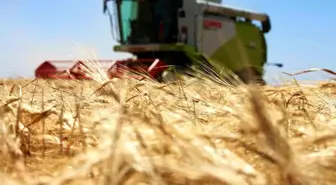 Konya Türkiye'nin Tahıl Ambarı