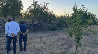 Kayseri'de Budama Yaparken Ağaçtan Düşen Yaşlı Adam Hayatını Kaybetti