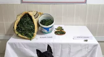 Kütahya'da Uyuşturucu Operasyonu: 4 Bin 900 Gram Esrar Ele Geçirildi