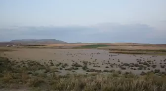 Konya'da Gökgöl tamamen kurudu, kuşlar göç etti