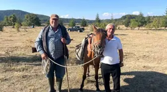 Denizli'de Yabani Ağaçlara Yapılan Aşılama İle Meyve Verimi Arttı