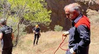 Bingöl'ün Genç ilçesinde mahsur kalan 3 keçi kurtarıldı