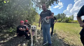 Çorum'da mahsur kalan köpek itfaiye ekiplerince kurtarıldı