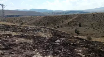 Çankırı'da elektrik trafosunda çıkan yangın araziyi küle çevirdi