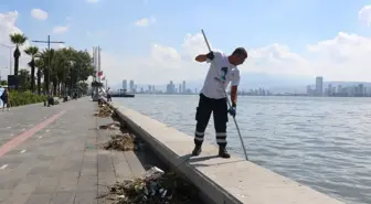 İzmir Körfezi'nde Yaşanan Balık Ölümleri ve Kötü Koku Karşıyaka Sahilini Kirletti