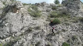 Çorum Belediyesi İtfaiye Müdürlüğü, Mahsur Kalan Köpeği Kurtardı