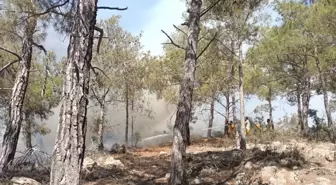 Mersin'de Ormanlık Alanda Çıkan Yangın Kontrol Altına Alındı