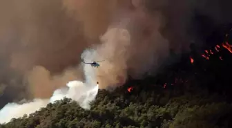 Muğla'da Yaz Aylarında 385 Orman Yangını Çıktı