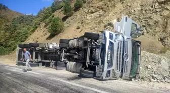 Bolu'da Yem Yüklü Tır Yol Kenarına Devrildi