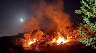 Hatay'ın Kırıkhan ilçesinde ormanlık alanda çıkan yangın söndürüldü