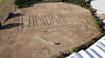 Çiftçi, hayranı olduğu sanatçının adını tarlasına yazdı