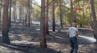 OMÜ Tıp Fakültesi Hastanesi yakınındaki ormanda çıkan yangın kısa sürede söndürüldü