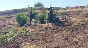 Güvenlik Korucusu Raşit Kaya'nın Ailesi Suçluların Yakalanmasını İstiyor