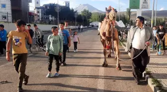 Mevlit Kandili'nde Eleşkirt'e Gönderilen Kurbanlık Deve İlgi Odağı Oldu