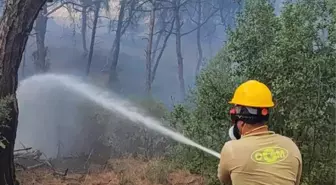 Adana'da Orman Yangını Kontrol Altına Alındı