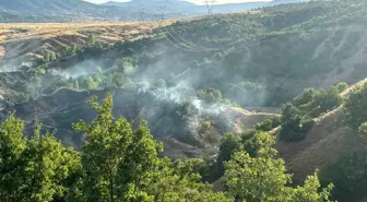 Bingöl'ün Genç İlçesinde Orman Yangını Kontrol Altına Alındı