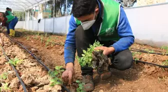 İHH, Öşürlerle İhtiyaç Sahiplerine Destek Ulaşıyor