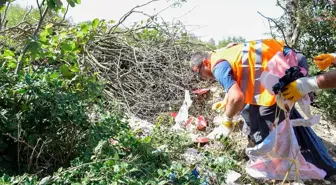 Ladik Belediyesi Piknik Alanlarını Temizledi