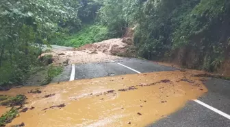 Artvin'in Arhavi İlçesinde Sağanak Nedeniyle Su Baskınları ve Heyelanlar