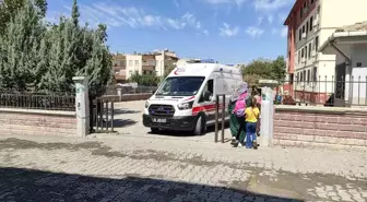 Şanlıurfa'da Öğrencilerin Doğum Gününde Pasta Zehirlenmesi