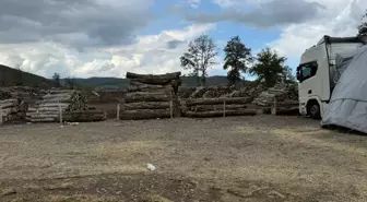 Bartın'da Tomruk Altında Kalan İşçi Hayatını Kaybetti