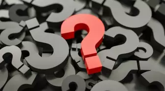 İştirak ne demek? İştirak ne anlama gelir?