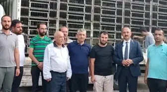 Kayseri Büyükşehir Belediyesi'nden Selden Zarar Gören Vatandaşa Canlı Hayvan Desteği