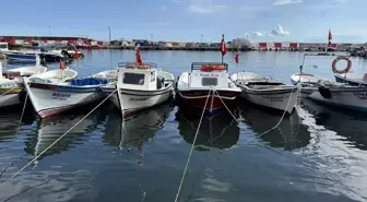 Tekirdağlı Balıkçılar, Marmara'da Umduğunu Bulamadı