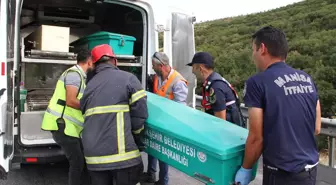 Manisa'da Trafik Kazası: Bir Ölü, Bir Yaralı