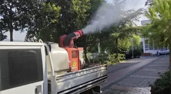 İzmir'de Beyazsinek Mücadelesi: İlaçlama Çalışmaları Başlatıldı