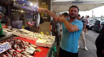 Palamut Avında Düşüş, Fiyatlar Yükseldi