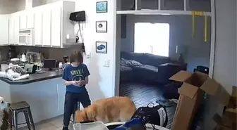 ABD'de 14 yaşındaki kız annesi öldürüp üvey babasını yaraladıktan sonra sakin bir şekilde arkadaşına mesaj attı