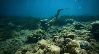 İzmir'de Deniz Kızı Dalış Eğitimi Kadınlardan İlgi Görüyor