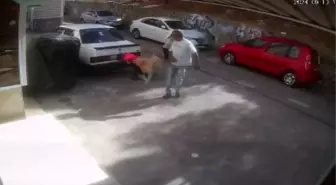 Köpek Saldırısına Uğrayan Çocuğun Annesi Tepkili