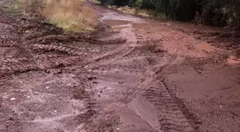 Bitlis Ahlat'ta Sağanak Sele Neden Oldu