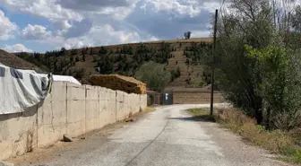 Ankara'da Kazayla Ateşlenen Tüfekle Afgan Çoban Hayatını Kaybetti