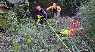 Artvin'de Uçurumdan Düşen Otomobilde 1 Kişi Hayatını Kaybetti