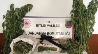 Bitlis'te Jandarma Operasyonu: 2 Kilo Esrar ve 164 Kök Kenevir Ele Geçirildi