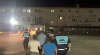 Aydın'da Jandarma Operasyonu: 5 Kişi Tutuklandı