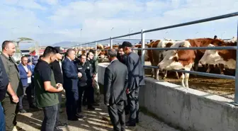 Ardahan Valisi, Hayvan Pazarı Ziyaretinde Tarım ve Hayvancılık Projelerini Açıkladı