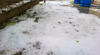 Adıyaman'da Aniden Gelen Dolu Yağışı Hayatı Olumsuz Etkiledi