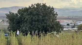 Kahramanmaraş'ta Yıldırım Düşmesi Sonucu Çoban Hayatını Kaybetti