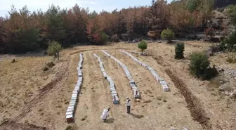 Muğla'daki Yangında Arıcılar Kovanlarını Kurtardı