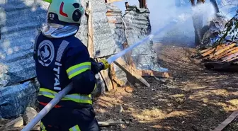 Denizli'de Ahır Yangını: 93 Küçükbaş Hayvan Hayatını Kaybetti